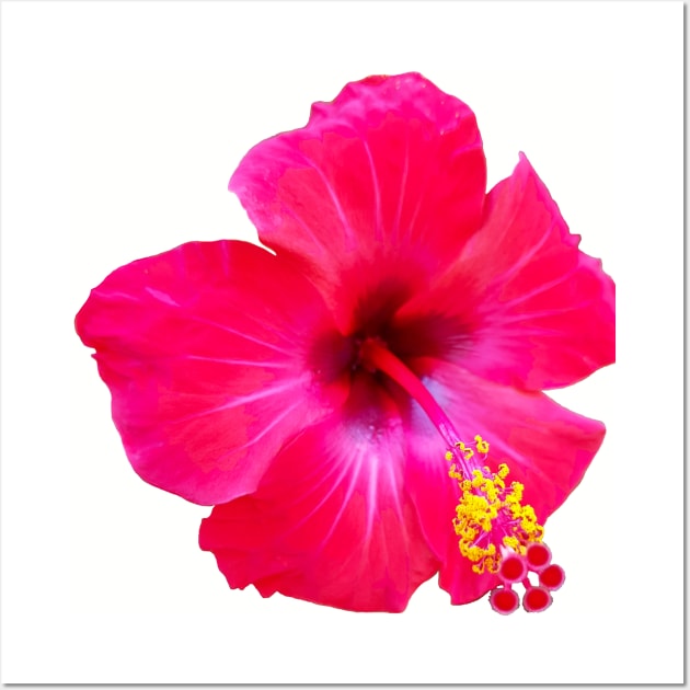 Red Hibiscus Floral Photo Beach Vibe Wall Art by ellenhenryart